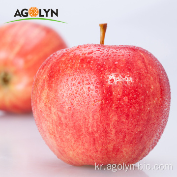 양질의 공장은 대형 신선한 사과를 제공합니다